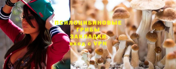 ПСИЛОЦИБИНОВЫЕ ГРИБЫ Горно-Алтайск