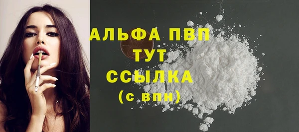 шишки Горняк