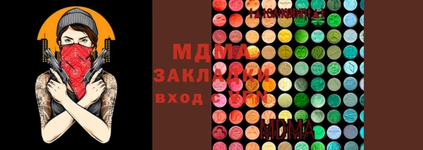 ПСИЛОЦИБИНОВЫЕ ГРИБЫ Горно-Алтайск