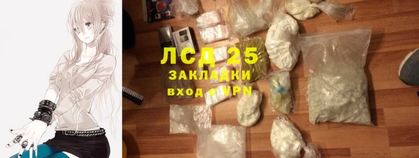 ПСИЛОЦИБИНОВЫЕ ГРИБЫ Горно-Алтайск