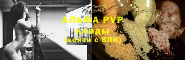 ПСИЛОЦИБИНОВЫЕ ГРИБЫ Горно-Алтайск