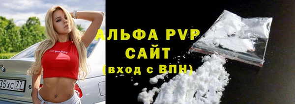 шишки Горняк