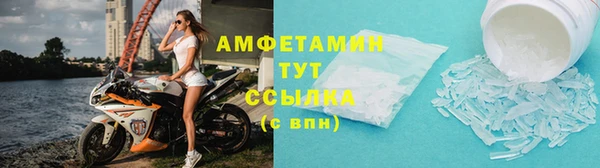 шишки Горняк