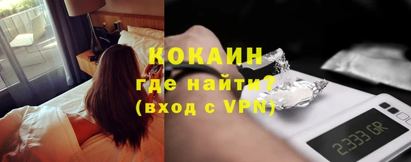 ПСИЛОЦИБИНОВЫЕ ГРИБЫ Горно-Алтайск