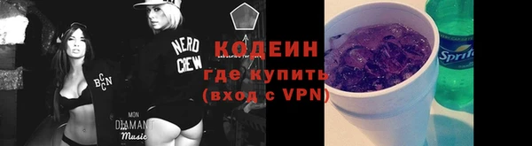 шишки Горняк