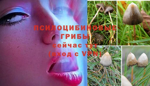 бутик Гусь-Хрустальный