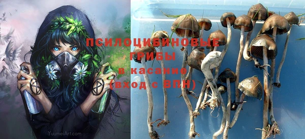 шишки Горняк
