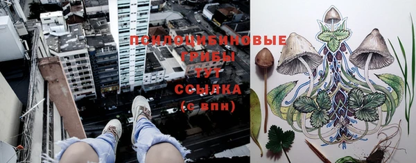 шишки Горняк