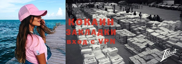 шишки Горняк