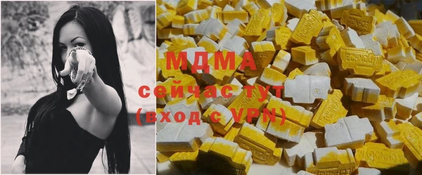 шишки Горняк