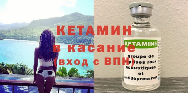 шишки Горняк