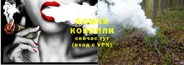 шишки Горняк