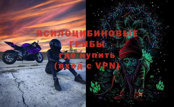 шишки Горняк
